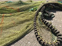 IMG_8078