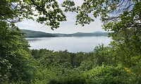 IMG_7531