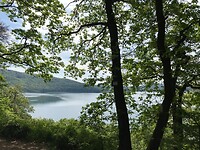IMG_7541