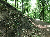 IMG_7548