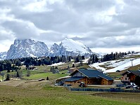 IMG_3558