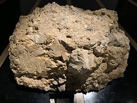 IMG_3693