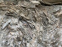 IMG_3450