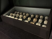 IMG_4750