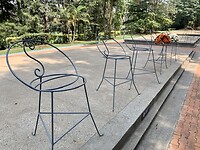 IMG_4764
