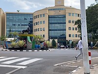 IMG_4773