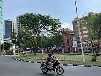 IMG_4798