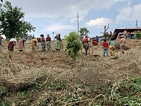 IMG_4804