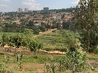 IMG_4807