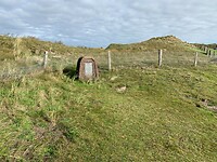 IMG_6784