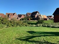 IMG_6788