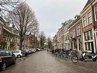 IMG_7113