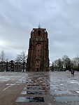 IMG_7081