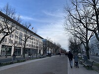 IMG_7430