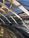 IMG_7526