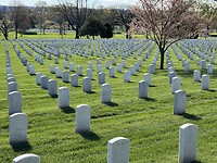 IMG_8459