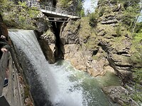 IMG_8948