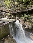 IMG_8954