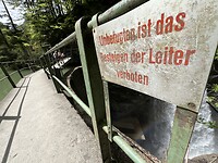 IMG_8966