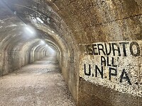 IMG_0231