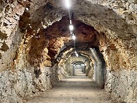 IMG_0228