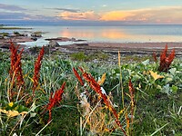 IMG_1088