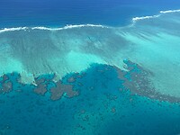 IMG_1625