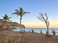 IMG_1630