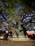 IMG_1641