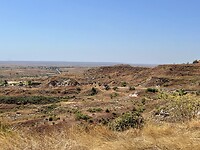 IMG_1652