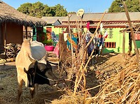 IMG_1673