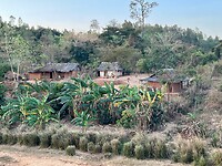 IMG_1703
