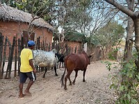 IMG_1708