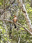 IMG_1739