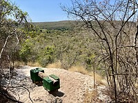 IMG_1741