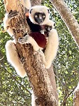 IMG_1764