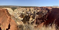 IMG_1771