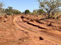 IMG_1786