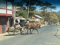 IMG_1806