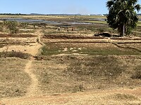 IMG_1812
