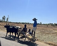 IMG_1819