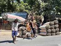 IMG_1823