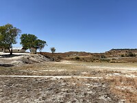 IMG_1837
