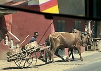 IMG_1805