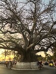 IMG_1850
