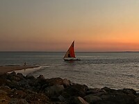 IMG_1855