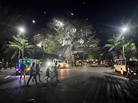 IMG_1862
