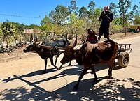 IMG_1874