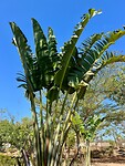 IMG_1875