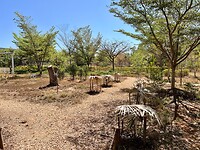 IMG_1876